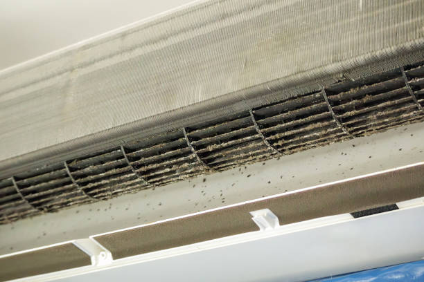 Best HVAC Air Duct Cleaning  in Giddings, TX